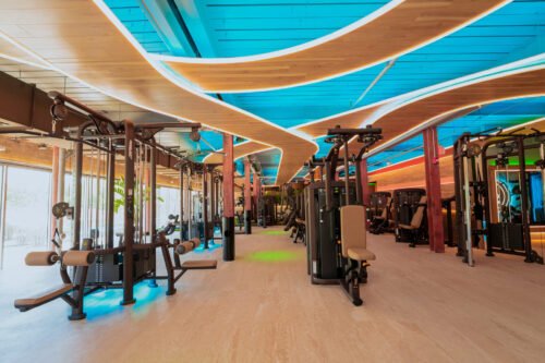 PaviFLEX FITNESS PRO – Image 4