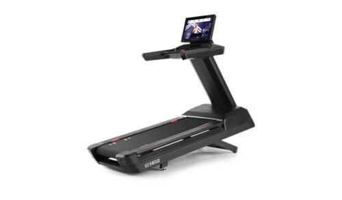 FREEMOTION Reflex Treadmill t22.9