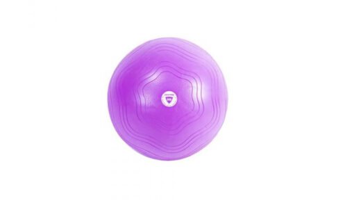 LIVEPRO Gym Ball – Image 2
