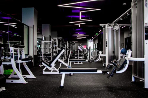 PaviFLEX FITNESS PRO – Image 3