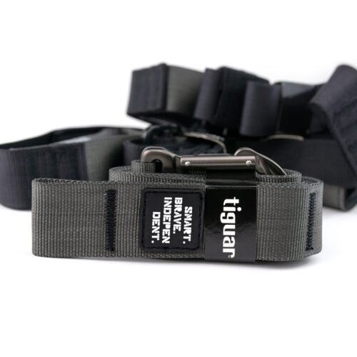 Alfa One Suspension Trainer Tiguar – Image 2